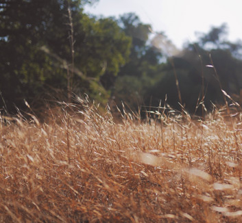 关于足球联赛近期的比赛安排最新消息公布