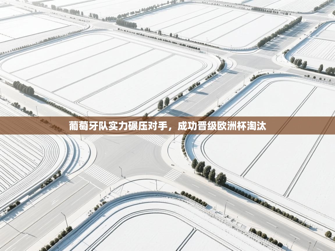 葡萄牙队实力碾压对手，成功晋级欧洲杯淘汰