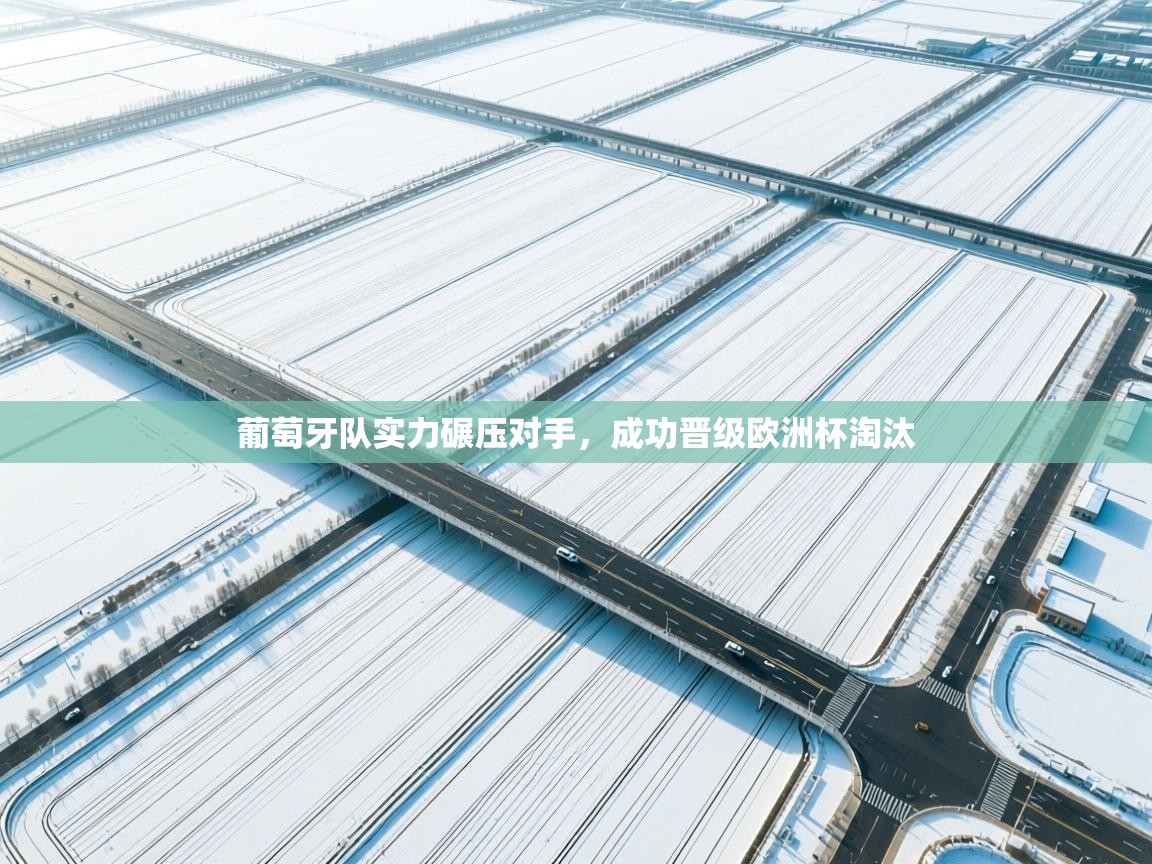 葡萄牙队实力碾压对手,成功晋级欧洲杯淘汰 第2张