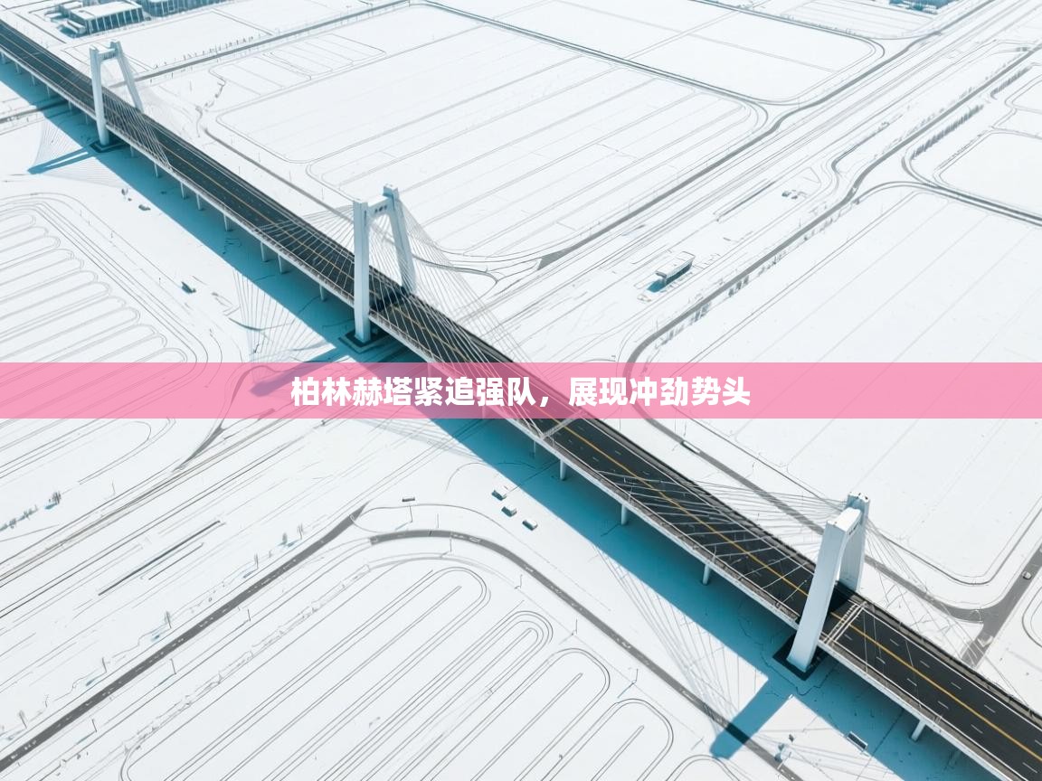 柏林赫塔紧追强队，展现冲劲势头  第2张