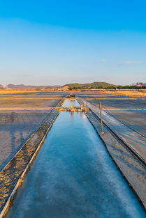 九游官网入口注册-生态+赛事，兴隆湖引领水上马拉松潮流，兴隆湖有水了吗